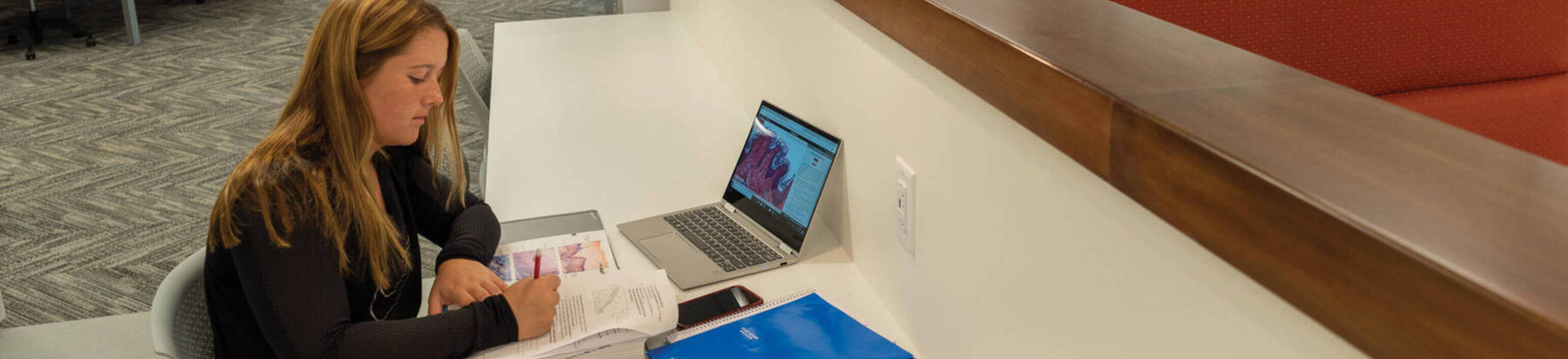 Student studying in Besse Library